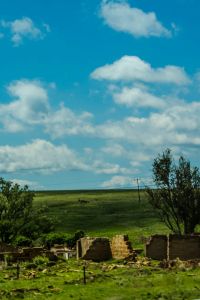 Abandoned homestead, North West